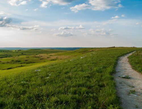 Lettera del Consulente – I benefici del lavorare con logiche ormai superate